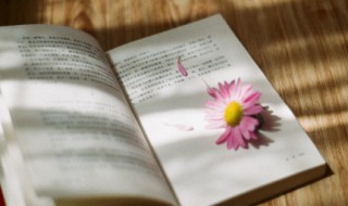 狼道讲的是什么（狼道讲的是什么道理呢）