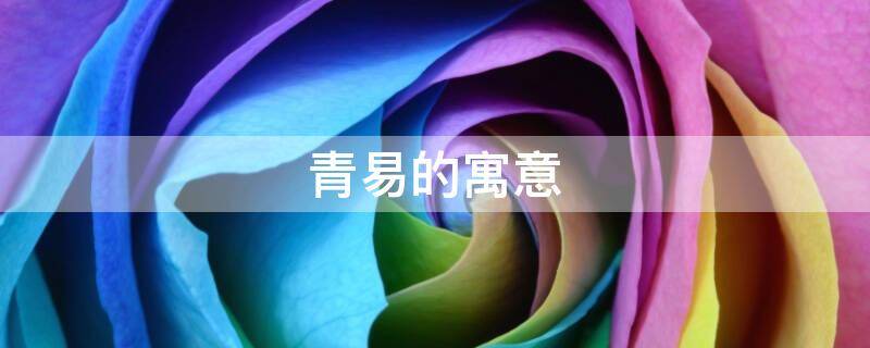 青易的寓意