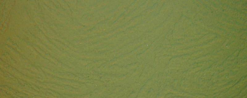 墨绿色是哪几种颜色调出来的 墨绿色是用什么颜色调出来的