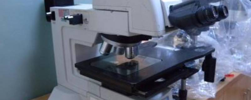 用油镜观察时应该注意哪些问题（用油镜观察时应该注意哪些问题?）