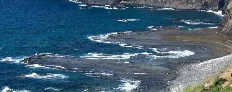 海洋资源包括哪些（海洋资源包括哪些内容）