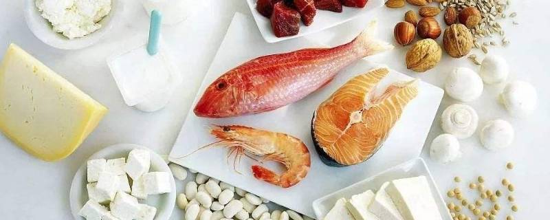 骨脂蛋白在哪些食物里有?