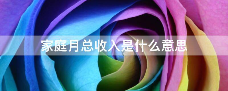 家庭月总收入是什么意思?（助学金家庭月总收入是什么意思）