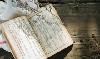 梅蕊重重何俗甚丁香千结苦粗生意思（梅蕊重重何俗甚,丁香千结苦粗生怎么读）