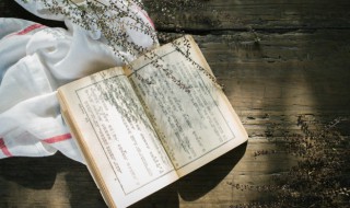 让花成花让树成树什么意思（女生说让花成花让树成树什么意思）