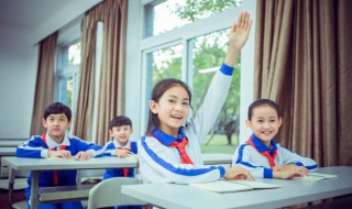 什么的端午节作文500字 关于端午节的作文500字左右
