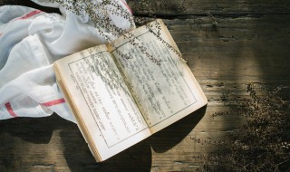 君子如玉触手也温什么意思（君子如玉,触手可温,沐如春风）