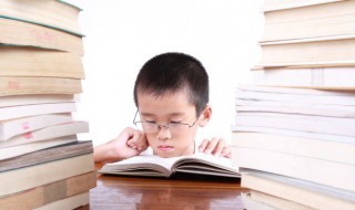 君子学道则爱人小人学道则易使也什么意思