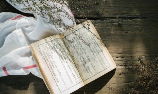 千淘万漉虽辛苦吹尽狂沙始到金什么意思