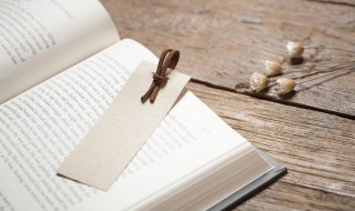 录毕走送之不敢稍逾约的意思（录毕,走送之,不敢稍逾约的翻译）