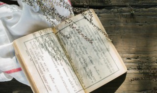 锺期久已没世上天知音的意思（钟期久已没,世上天知音）