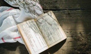 问君此去几时还来时莫徘徊是什么意思