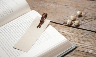 两情若是长久时又岂在朝朝暮暮意思 两情若是长久时又岂在朝朝暮暮意思是什么