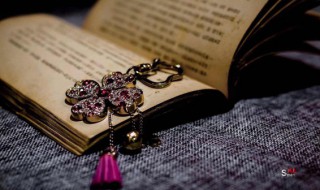 自日出至薄暮已至半山矣的意思（日出到迟暮是上半句）