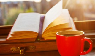 夭折是什么意思? 夭折是什么意思