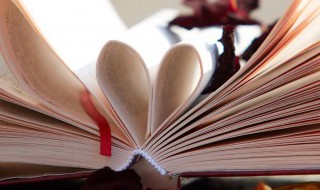 海棠宋苏轼的古诗意思 海棠宋苏轼的解释