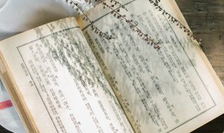 赠刘景文古诗的意思注释 赠刘景文古诗的意思古诗的意思