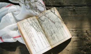 知己酒千斗人情纸半张什么意思（知己酒千斗 人情半张纸）