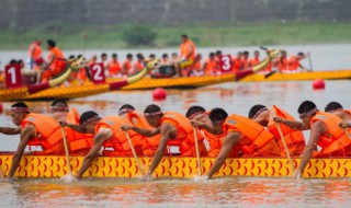 为什么喜欢端午节（为什么喜欢端午节的原因）