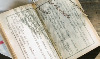 杀伐果断是什么意思（杀伐果断的小说）