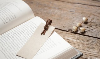 测交是什么意思 生物测交是什么意思