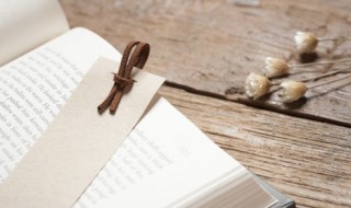 转销是什么意思 坏账准备转销是什么意思