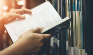 焚怎么组词（焚怎么组词语）