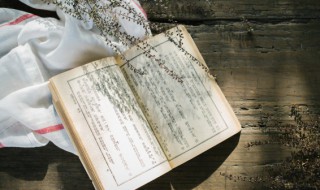 货郎的大致意思 货郎的大致意思两个字