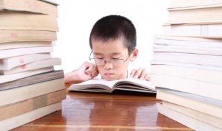 榉怎么组词 榉的拼音怎么拼写