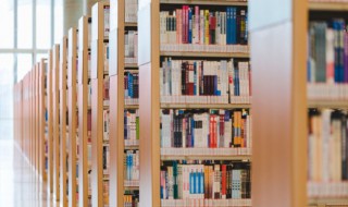 犯怎么组词 犯怎么组词语和拼音