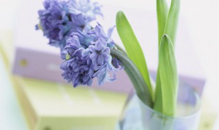 造怎么组词 燥怎么组词