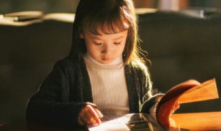 肆怎么组词 肆怎么组词组