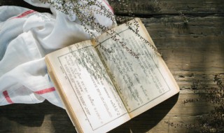 貌怎么组词（貌怎么组词?）