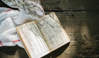 股怎么组词（股怎么组词?）