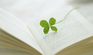 贸怎么组词 贸怎么组词(2个字