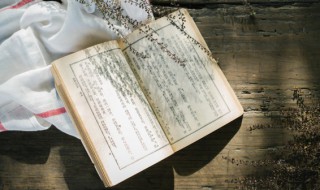 掉怎么组词 掉怎么组词组