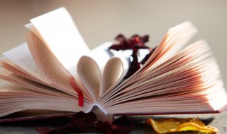 着字怎么组词（着字怎么组词两个字一年级）