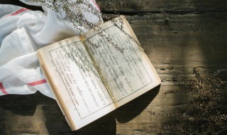 践怎么组词（践怎么组词?）