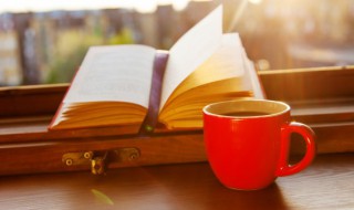 意怎么组词 议怎么组词