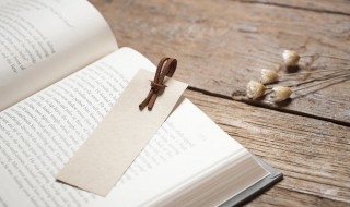 乐此不彼是什么意思（乐此不疲什么意思）