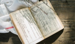 同舍生皆被绮绣的被是什么意思