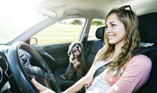 驾校模拟机是什么意思 驾校模拟机是什么意思啊