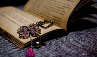 查可以组什么词（查可以组什么词语和拼音）