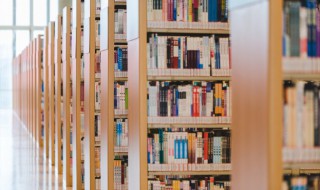 淌可以组什么词（淌可以组什么词语和拼音）