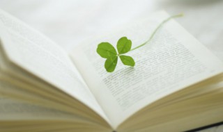 青可以组什么词 侵可以组什么词