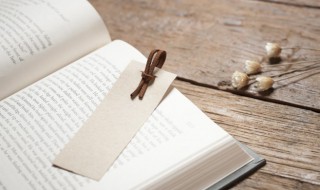 狐可以组什么词（狐可以组什么词?）