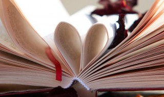 该可以组什么词 该可以组什么词语和拼音