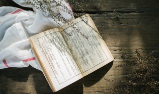 颈可以组什么词（颈可以组什么词多音字）