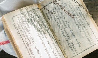 杨可以组什么词（杨可以组什么词二年级）