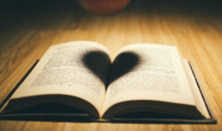 集可以组什么词 及可以组什么词